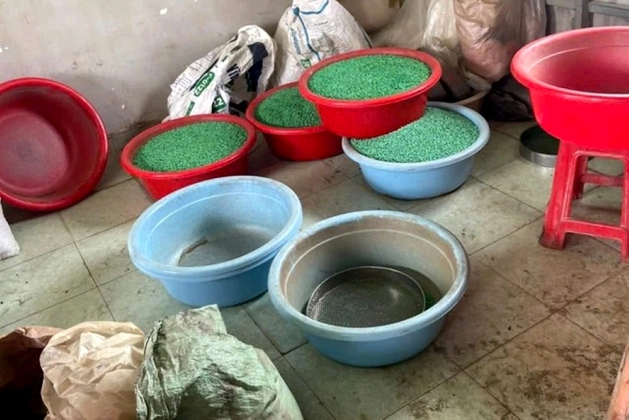 Thuốc giả được đựng vào chậu để dưới nền đất (Ảnh: CACC)
