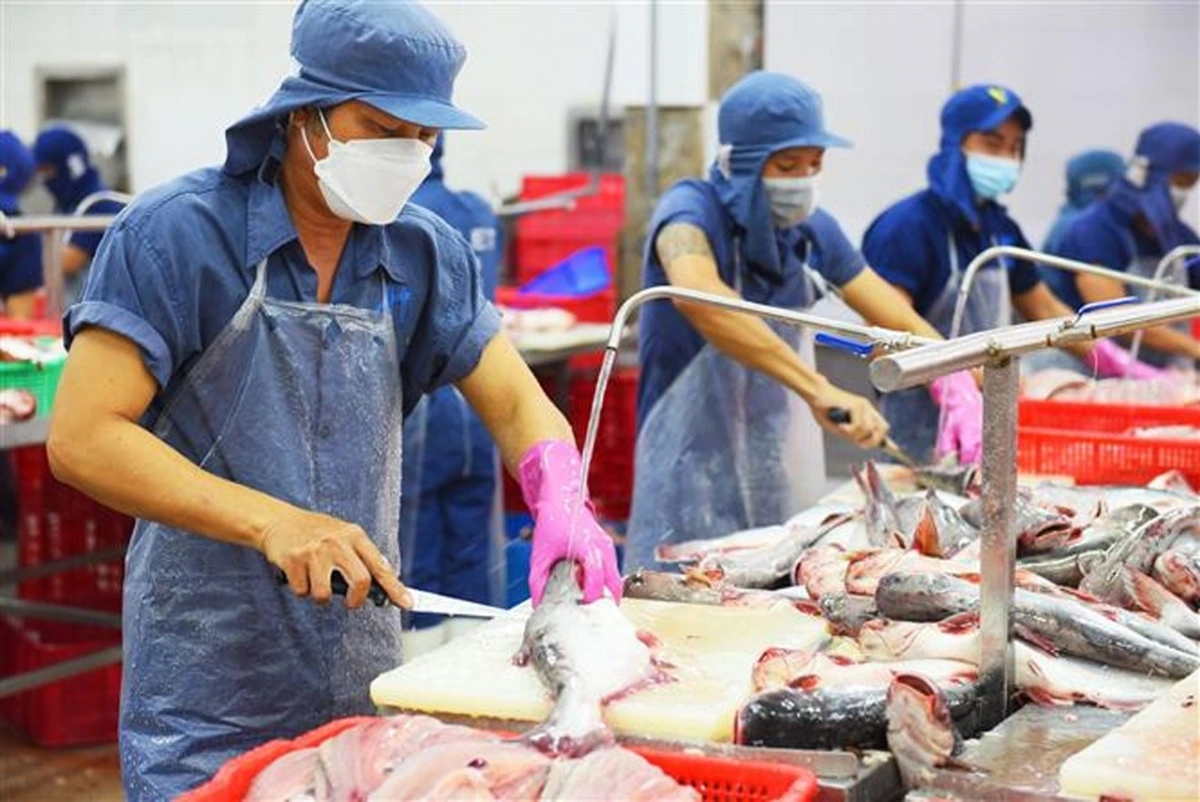 Việt Nam và Brazil đang nỗ lực nâng kim ngạch thương mại hai chiều lên 10 tỷ USD vào năm 2025.