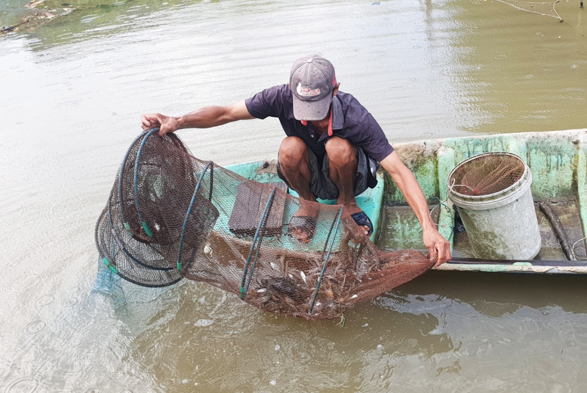 Nuôi tôm là thế mạnh của tỉnh Cà Mau