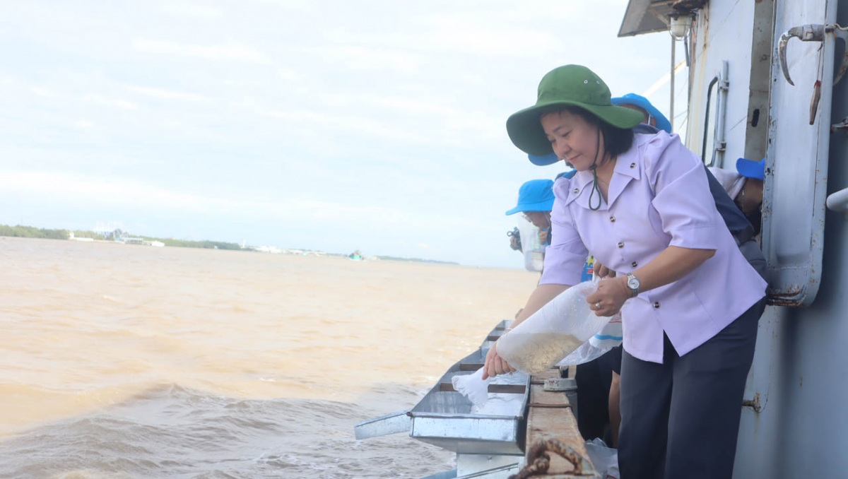 Thả 1,5 triệu con tôm sú giống về tự nhiên tại cửa biển Trần Đề
