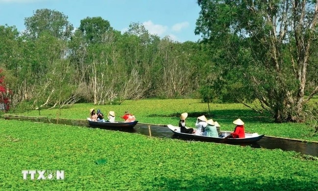 Tourists visit Tra Su forest in Tinh Bien township, the southern province of An Giang.