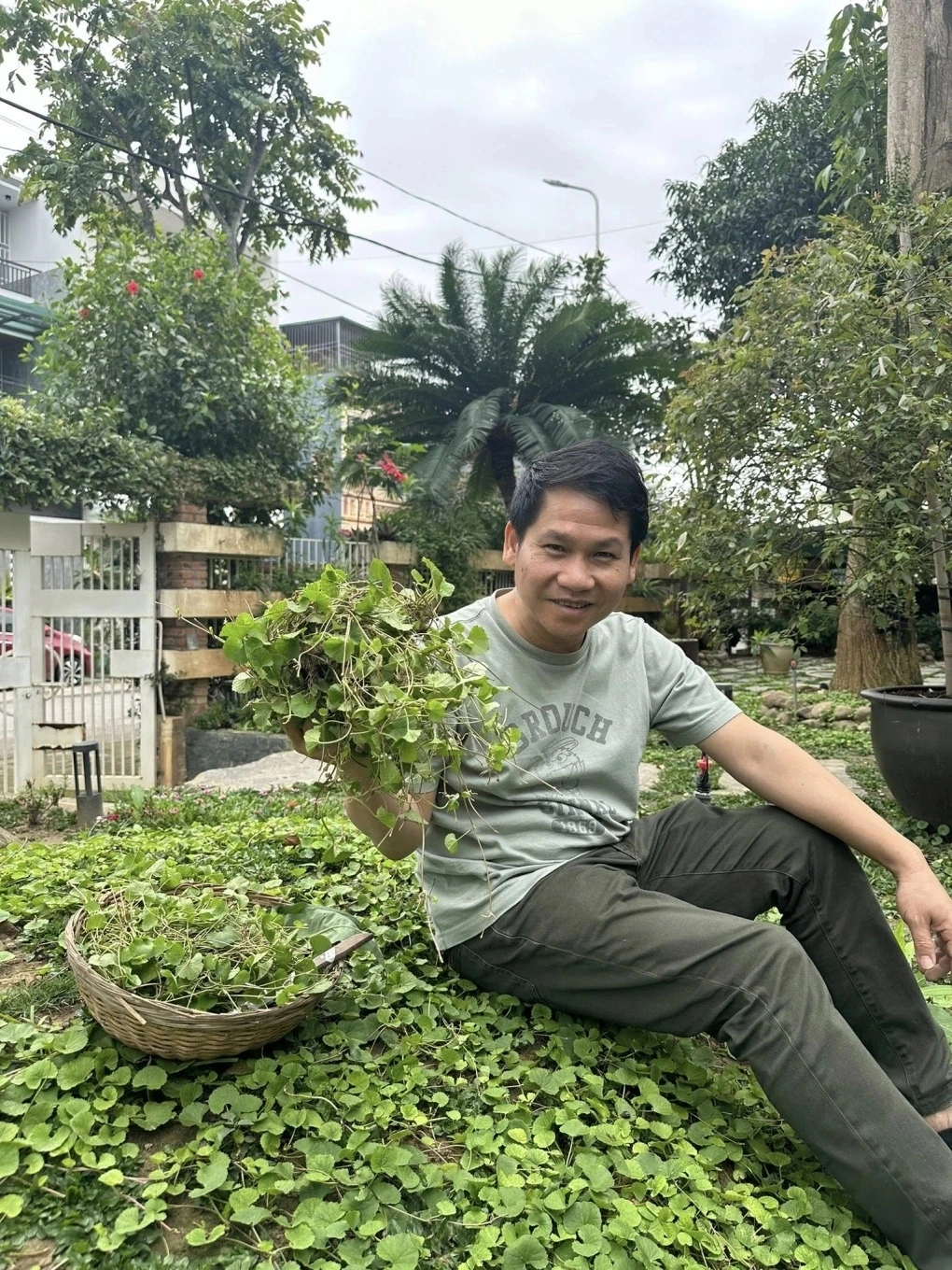 Ca sĩ Trọng Tấn thu hoạch rau má, nhót chín, trứng gà... khi về thăm bố mẹ ở biệt thự của gia đình tại Thanh Hóa.