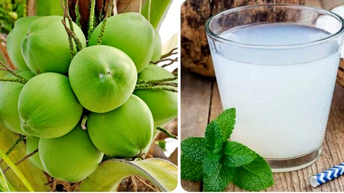 Uống nước dừa buổi sáng rất tốt cho sức khoẻ