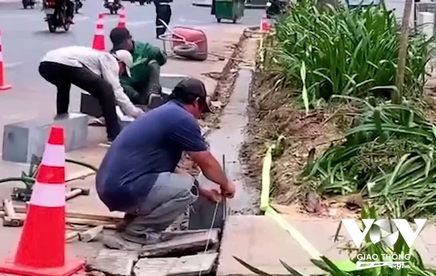 Những cây xanh trên đường Nguyễn Thị Minh Khai quận 1 bị ảnh hưởng do thi công vỉa hè