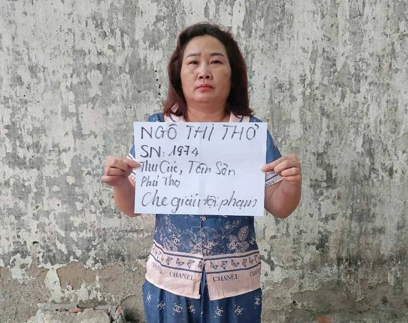 Bị can Ngô Thị Thơ, mẹ đẻ của đối tượng Hà Thương Hải bị khởi tố về tội Che giấu tội phạm.