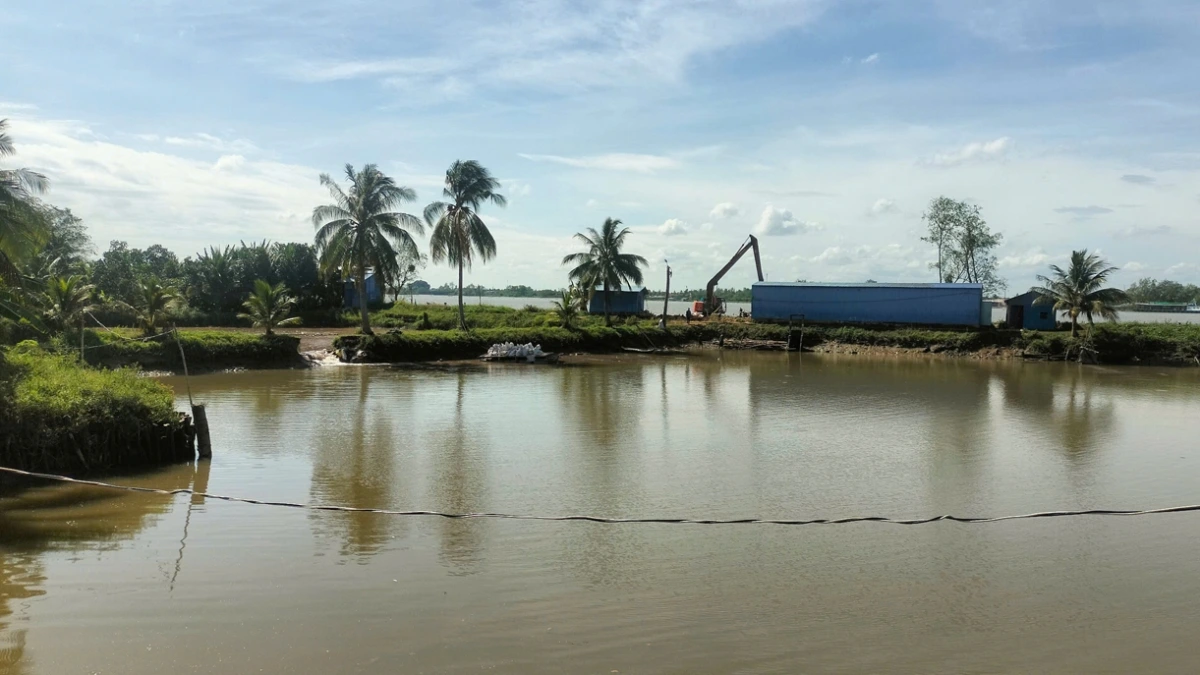 Ao cá nơi xảy ra nước tràn