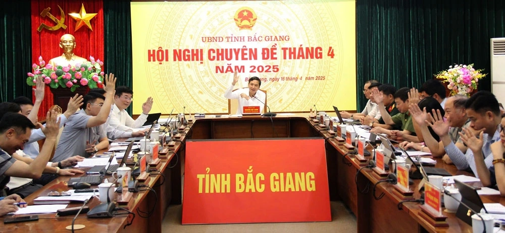 Chủ tịch UBND tỉnh Bắc Giang Nguyễn Việt Oanh cùng các đại biểu biểu quyết với các dự thảo đề án sắp xếp
