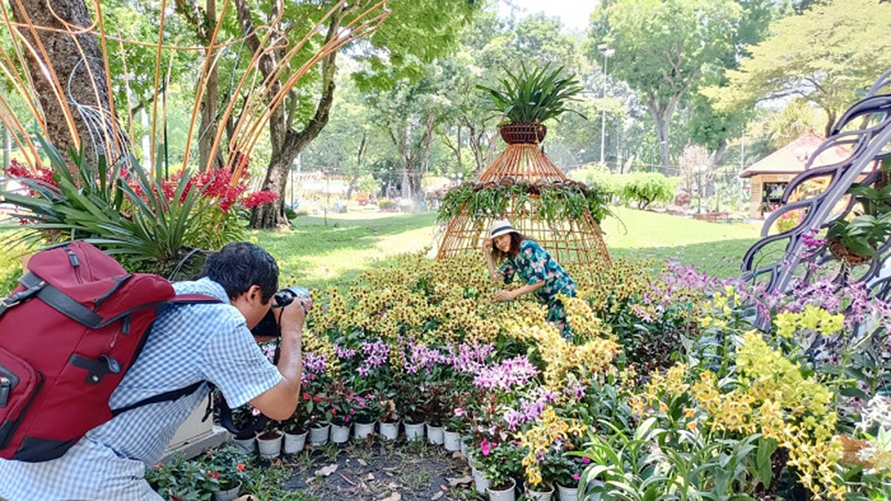 Lễ hội không chỉ là nơi trưng bày hoa lan, mà còn là không gian hội tụ văn hóa, nghệ thuật và ẩm thực.