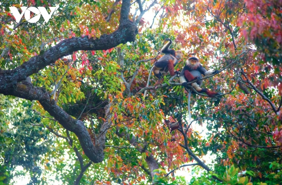   Visitors are encouraged to help protect the environment and wildlife when exploring the area