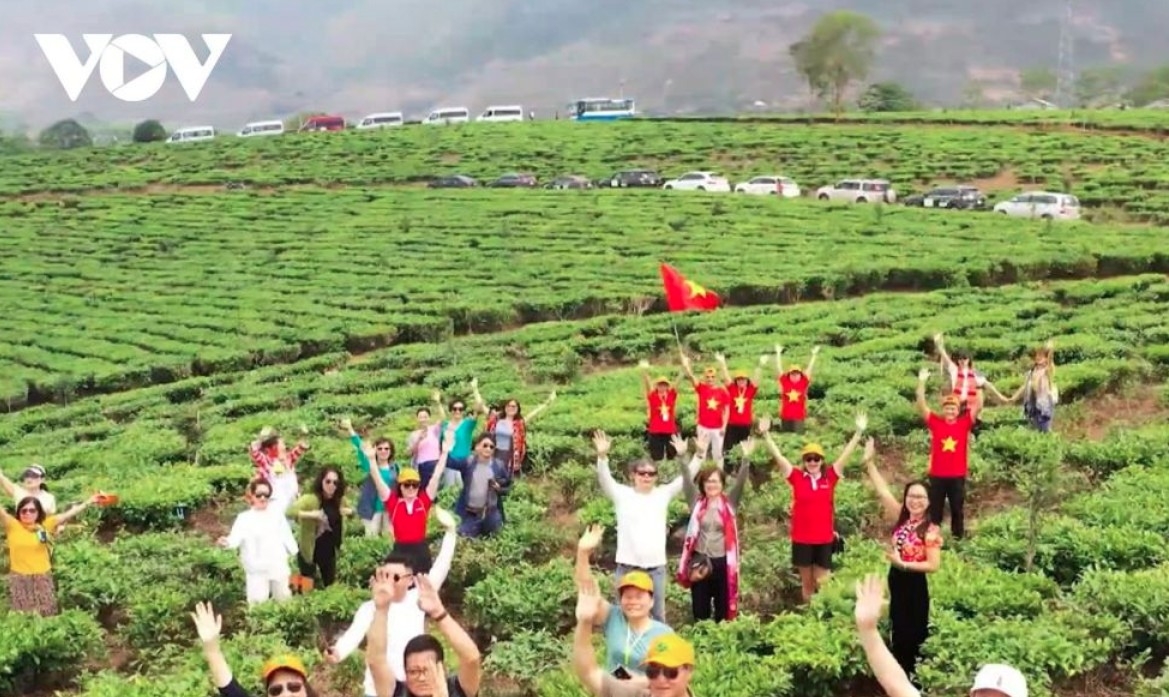 The tea hill is a perfect destination for nature lovers seeking to experience highland life and discover the unique beauty of a tea hill situated at the heart of the northwest.