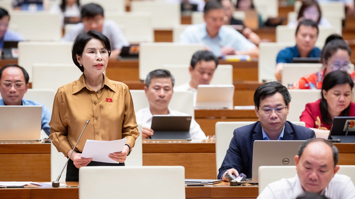 Đại biểu Quốc hội Trần Thị Nhị Hà