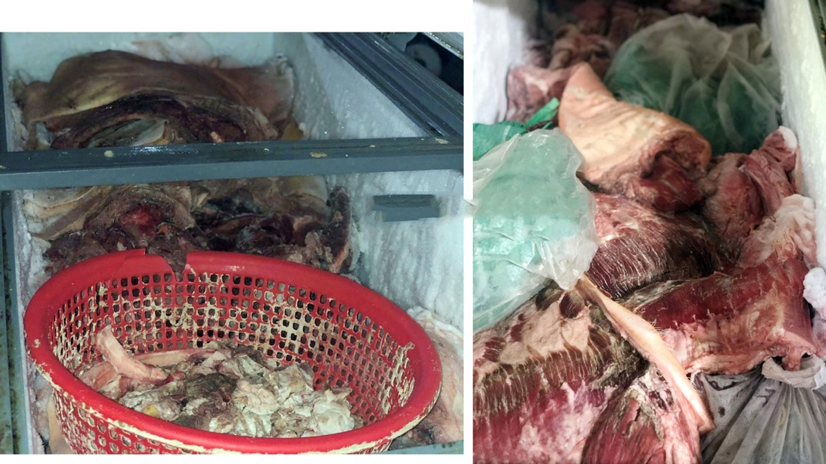 Số thịt heo bị ôi thiu và dương tính với virus dịch tả lợn châu Phi
