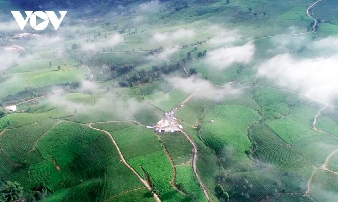 In the early morning or late afternoon, visitors can witness the tea valley enveloped in a white mist, creating a truly enchanting and picturesque scene.