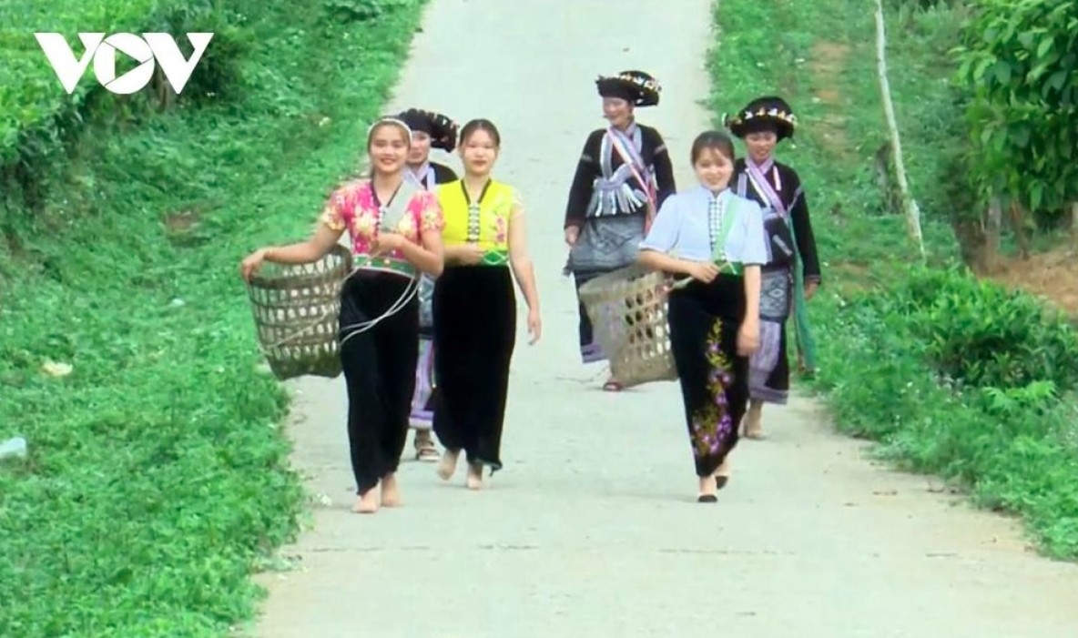 From early in the morning, young girls donning vibrant Thai and Lao ethnic costumes gracefully walk the paths to the tea hills, ready to begin their day of tea harvesting.