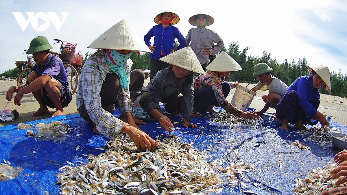 On the shore, the fishermen divide themselves into two teams and hold one end each to haul the net in.