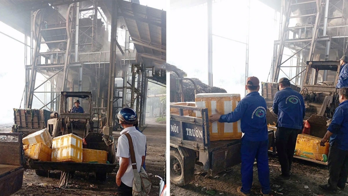 Thịt heo không rõ nguồn gốc, không có giấy chứng nhận kiểm dịch, bị ôi thiu và dương tính với virus dịch tả heo châu Phi đã bị tiêu hủy
 