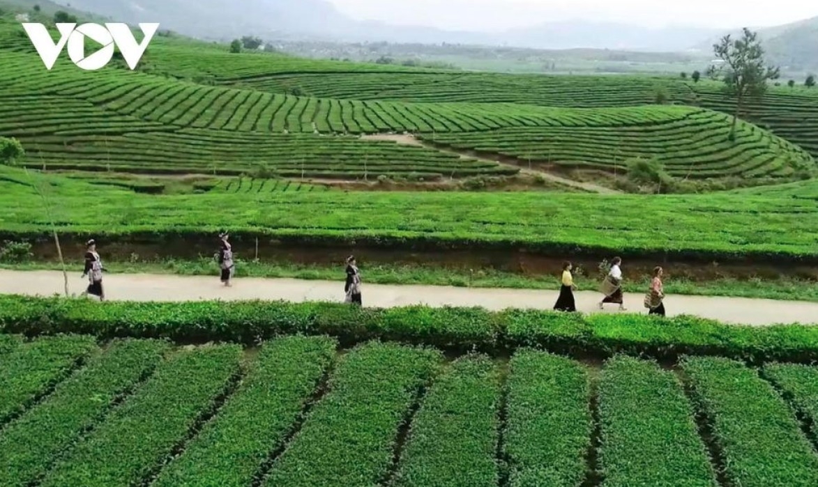 As the local people finish their workday, visitors select a suitable resting place to prepare for their journey to explore the cultural villages.