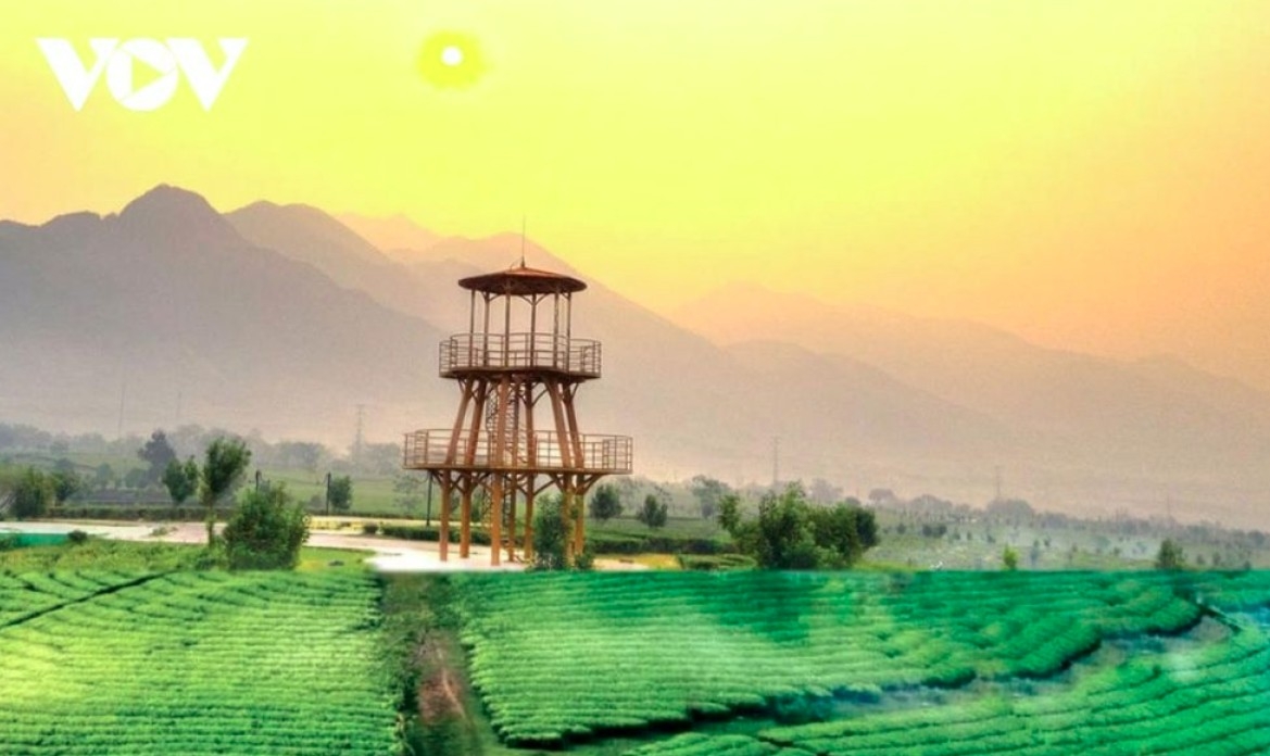 After sudden rainfall, the green of the tea becomes fresher.