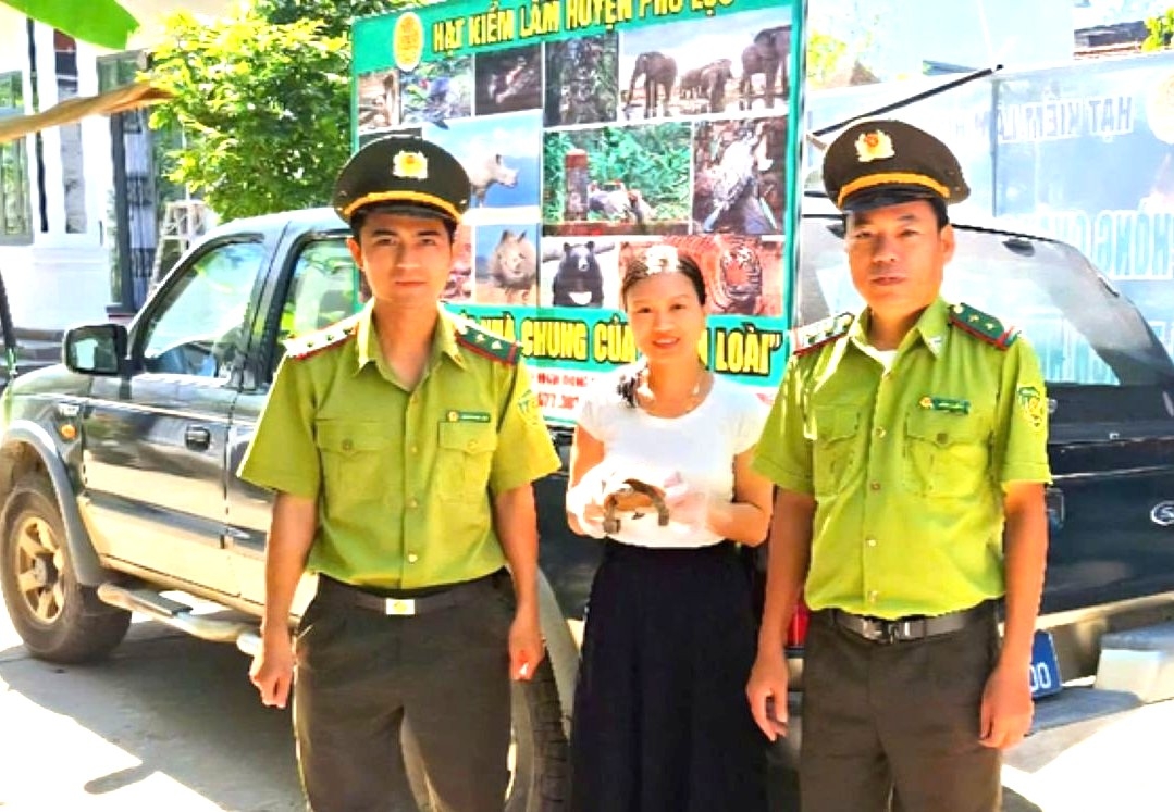 Chị Nguyễn Thị Thùy Dung giao nộp con rùa núi vàng quý hiếm cho cán bộ Kiểm lâm