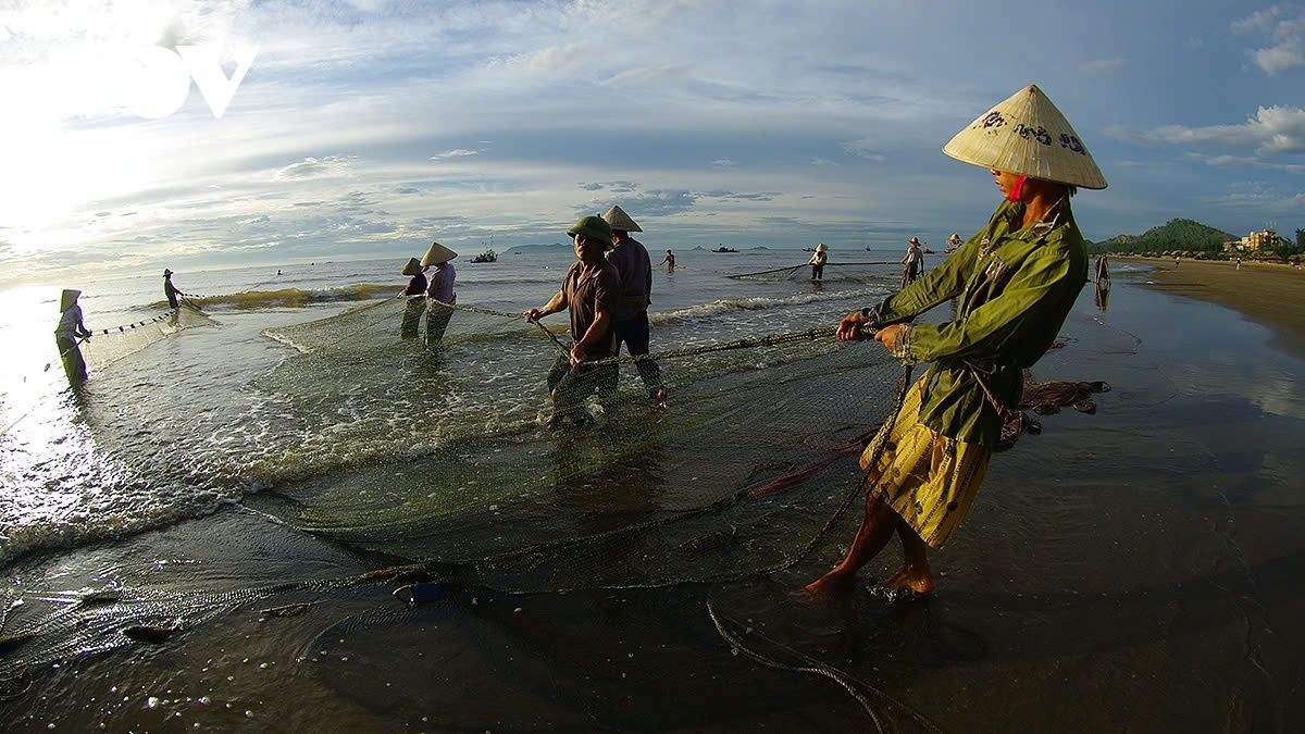 They catch fish by tying ropes to their waists, walking backwards, and making use of all of their strength to pull in fishing nets.