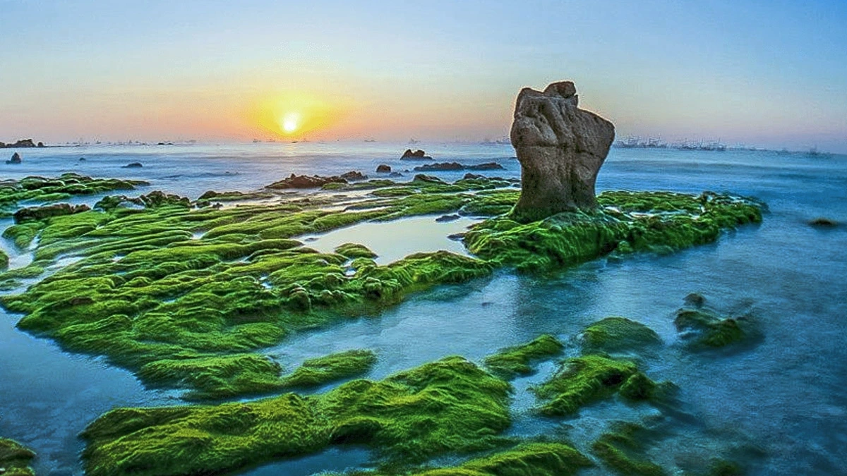 Lâm Đồng cần đổi mới mạnh mẽ mô hình tăng trưởng, định hình những động lực mới cho phát triển nhanh và bền vững.