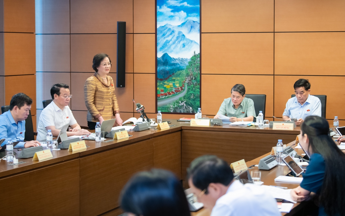 Bộ trưởng Bộ Nội vụ Phạm Thị Thanh Trà thảo luận tại tổ về Dự án Luật Tổ chức chính quyền địa phương (sửa đổi); Dự án Luật Cán bộ, công chức (sửa đổi). (Ảnh: Media Quốc hội)