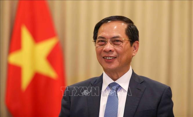 Phó Thủ tướng Chính phủ, Bộ trưởng Ngoại giao Bùi Thanh Sơn. (Ảnh: TTXVN phát)
