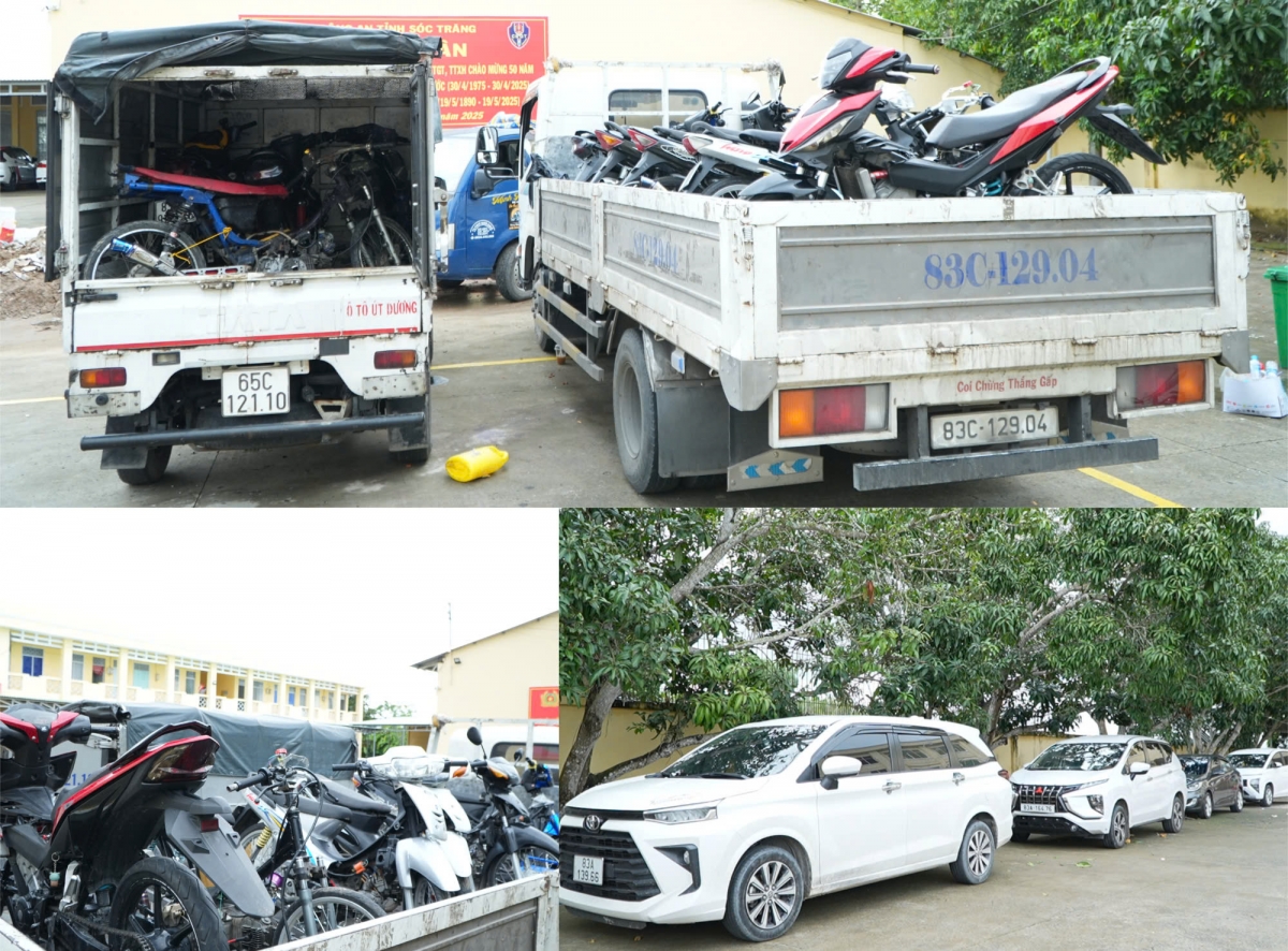 Các phương tiện bị tạm giữ