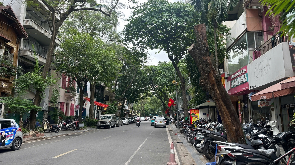 Theo tìm hiểu của phóng viên, trong số những cây xanh chết khô trên các tuyến phố có một số cây xanh nghi bị bức tử, đầu độc đang chờ chính quyền địa phương xác minh, làm rõ. Tuy nhiên, việc tìm nguyên nhân đã lâu nhưng chưa có kết luận khiến việc trồng cây xanh mới thay thế bị ảnh hưởng, khiến người dân chỉ biết hóng đợi.