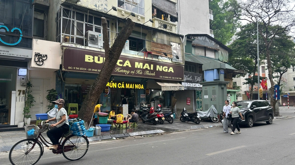 Một cây khác chết khô vài năm nhưng chỉ cắt tán cành khô.