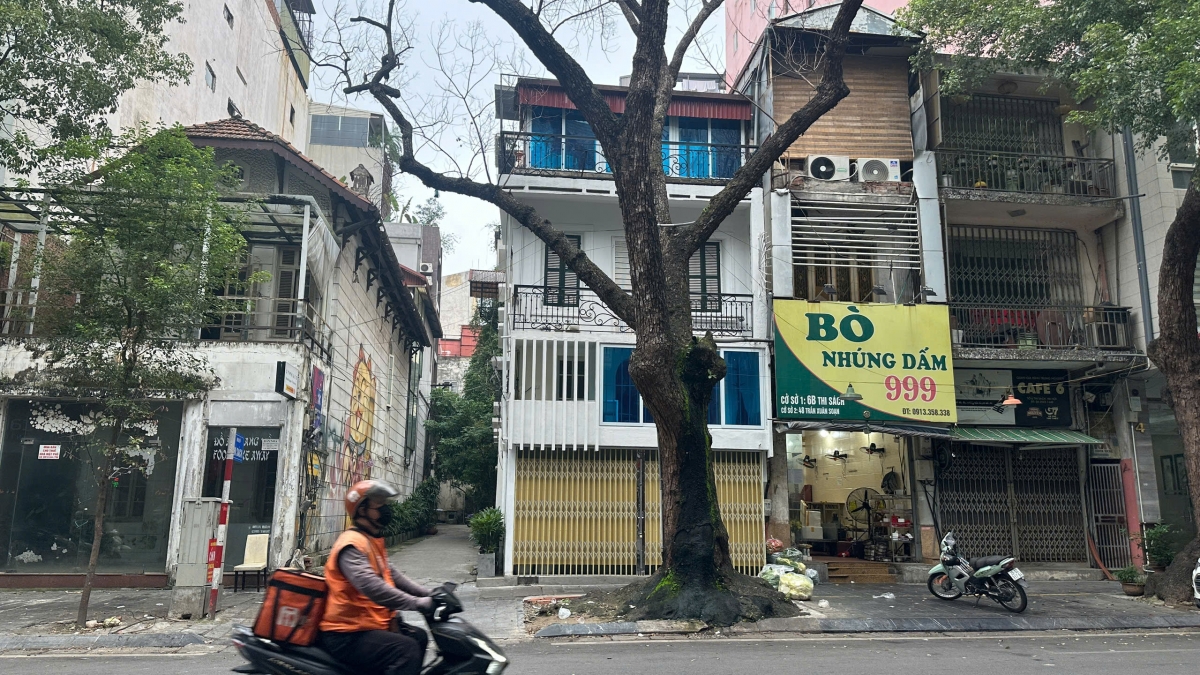 Theo người dân trên phố Thi Sách, cây chết khô đã nhiều năm nhưng không thấy trồng cây xanh mới thay thế. Mùa hè nắng nóng gay gắt, cảnh quan đô thị không có bóng mát cây xanh rất nóng bức.