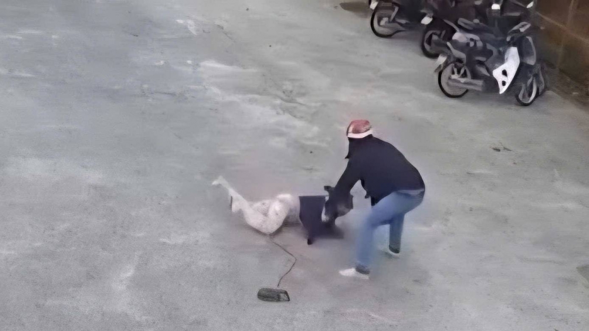 Đối tượng tấn công bằng cách chích điện vào người phụ nữ (ảnh cắt từ clip)