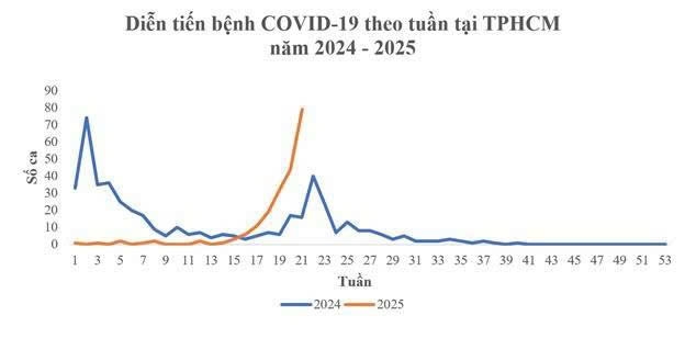 (Nguồn: CDC TP.HCM)