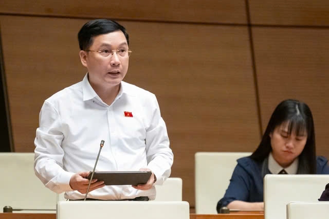 ĐBQH Lê Hoàng Anh. Ảnh: Media Quốc hội.