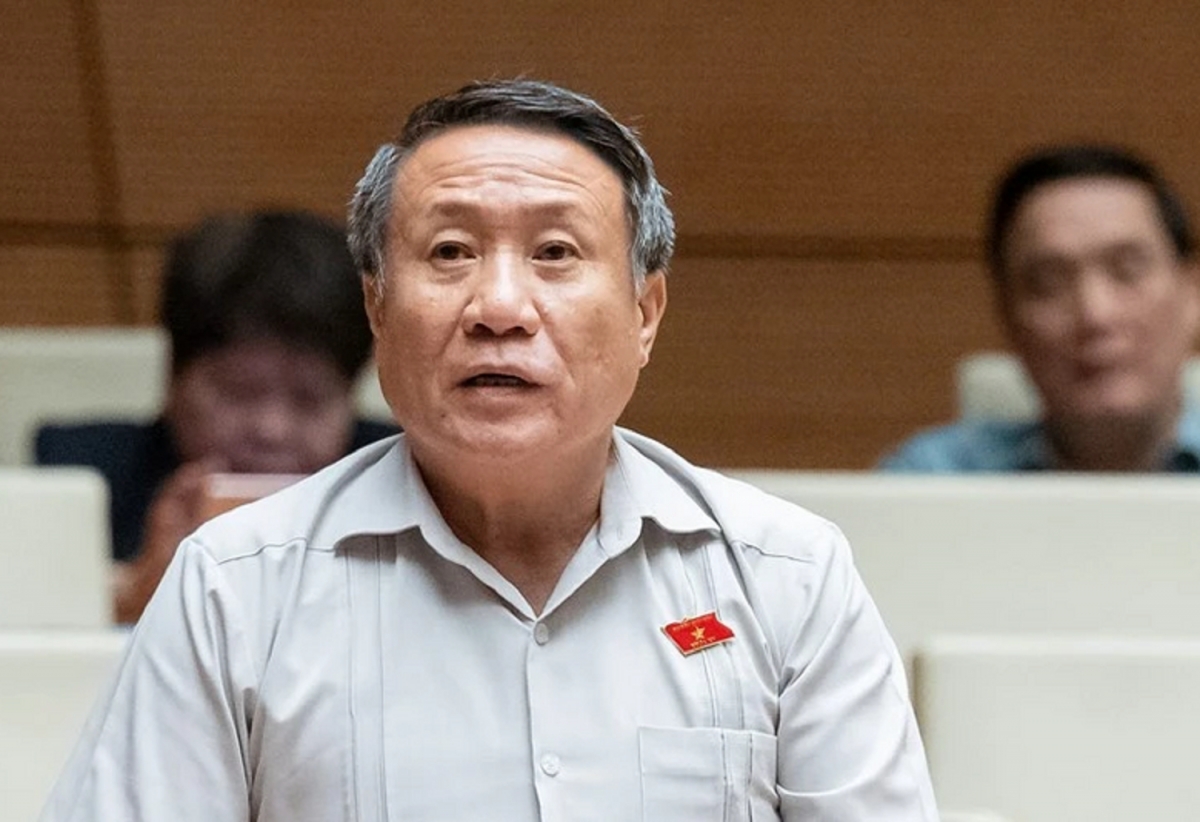 Đại biểu Hà Sỹ Đồng (đoàn Quảng Trị).