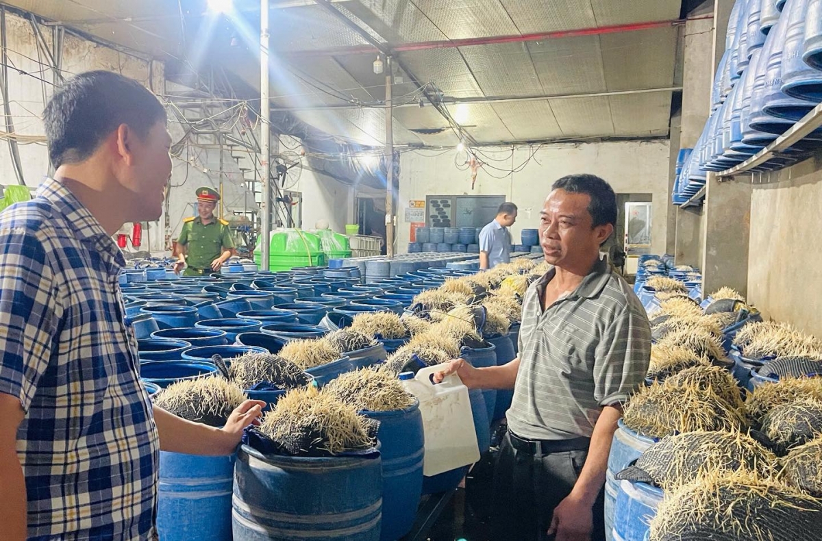Lực lượng chức năng kiểm tra cơ sở sản xuất giá đỗ của ông Lưu Văn Vẽ