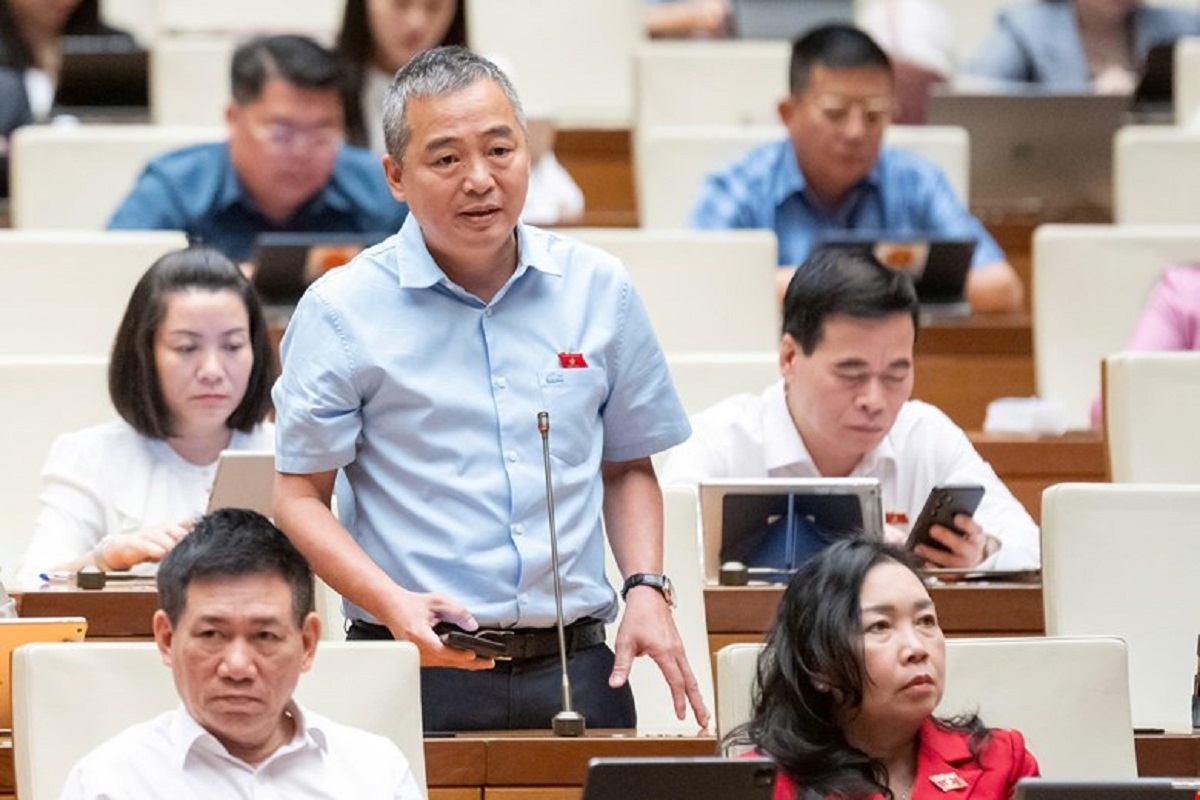 Đại biểu Nguyễn Lân Hiếu, đại biểu đoàn Bình Định