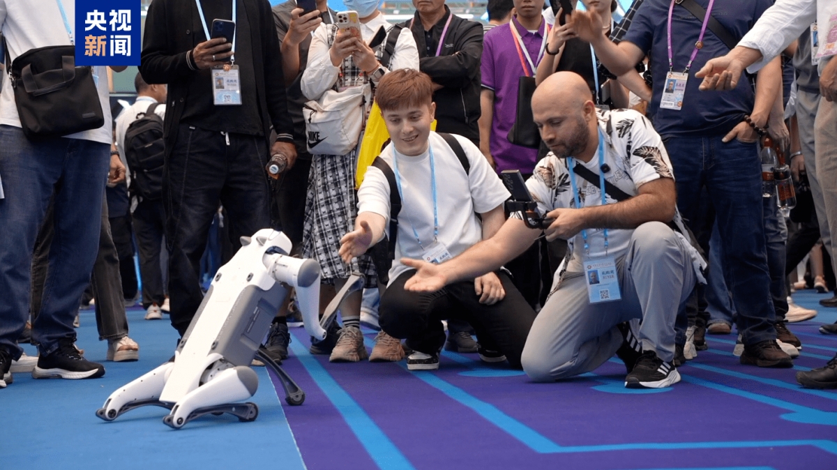 Khu triển lãm Robot dịch vụ. Ảnh CCTV