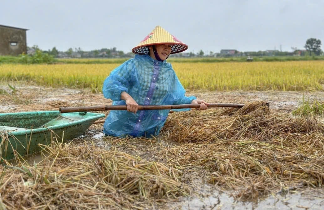 Rơm rạ ngập tràn vào đồng ruộng khiến diện tích lúa nguy cơ mất trắng (Ảnh: Phạm Trường)