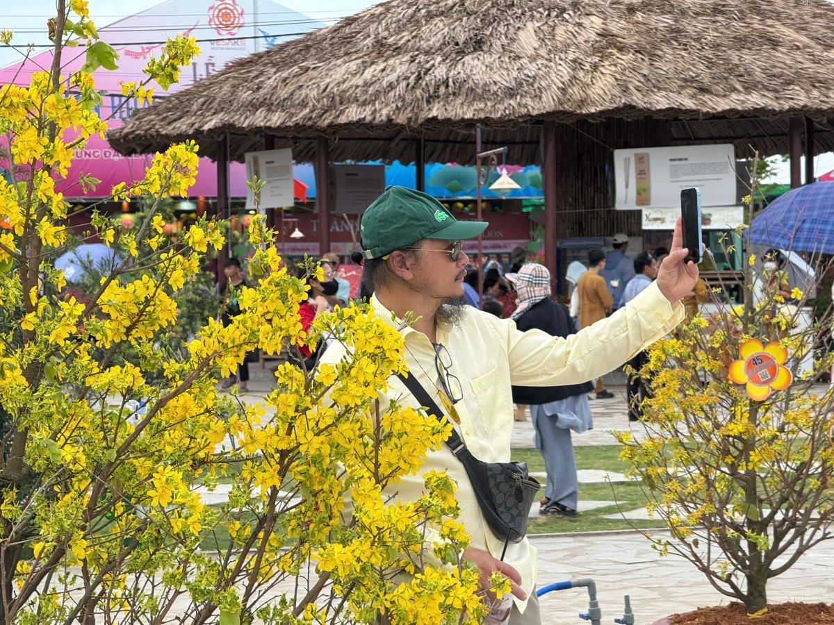 Vườn mai nở hoa dịp Đại lễ Vesak khiến nhiều người dân thích thú