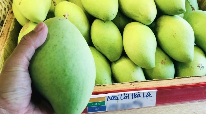 Hoa Loc mango