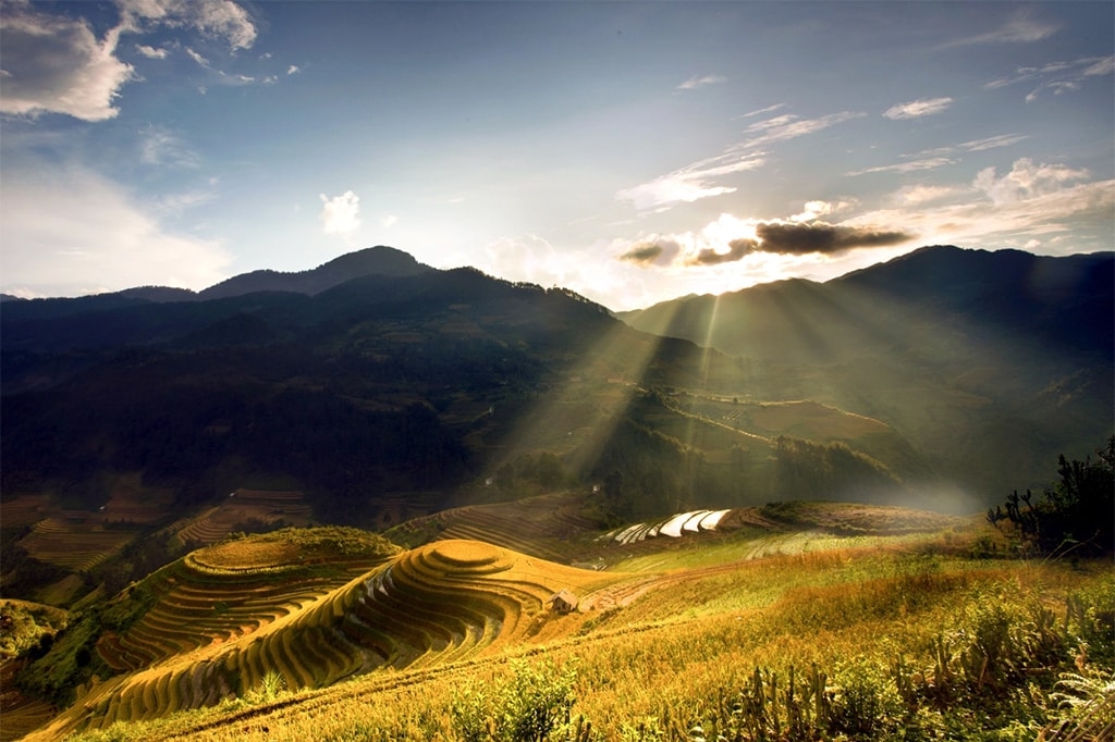 Mu Cang Chai (Photo: Internet)