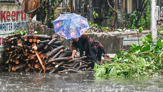 Mưa lớn cũng khiến hàng loạt cây cối bị đổ rạp (Ảnh Hindustantimes)