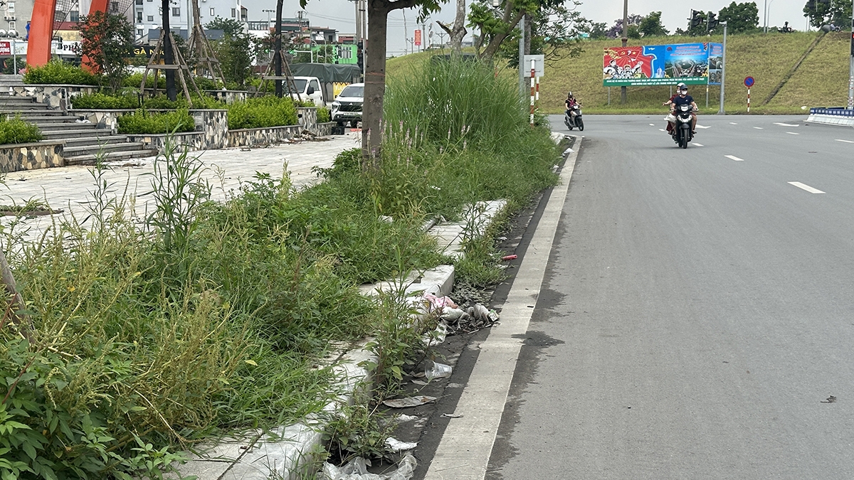 Ghi nhận của phóng viên, ngày 29/5 dọc hai bên đường Nguyễn Gia Bồng (quận Long Biên, Hà Nội), cỏ rậm rạp, vỉa hè ngổn ngang rác thải, nhiều ga cống không có nắp rác thải ùn ứ...
