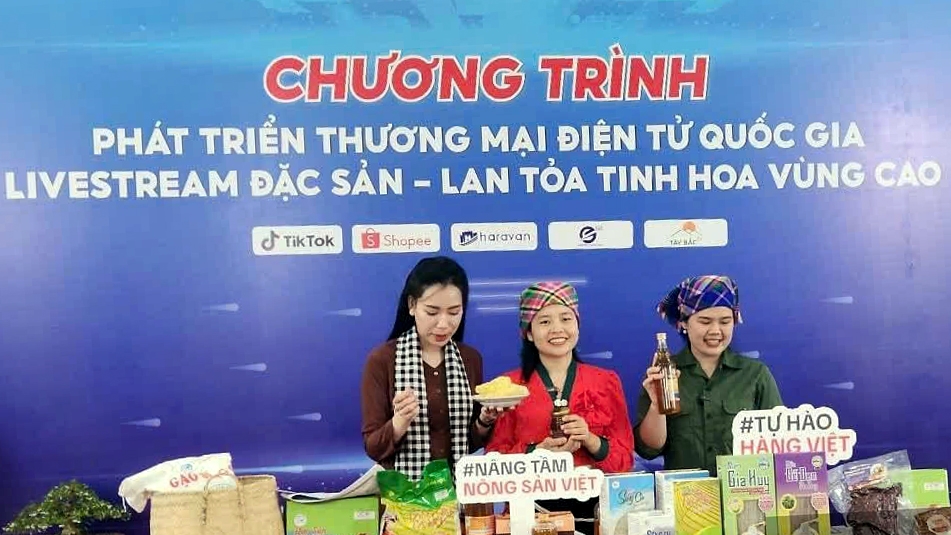 TMĐT thúc đẩy chuyển đổi số toàn diện tại các địa phương, đặc biệt là các khu vực còn nhiều khó khăn như Vùng Trung du và Miền núi phía Bắc - Ảnh minh họa: Moit