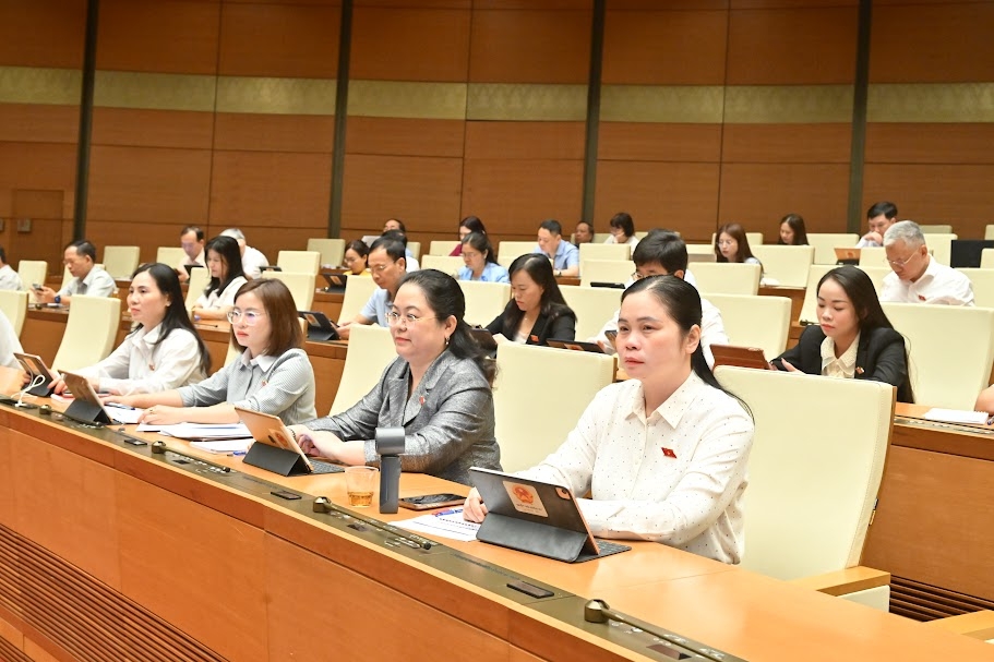 Các đại biểu Quốc hội dự kỳ họp