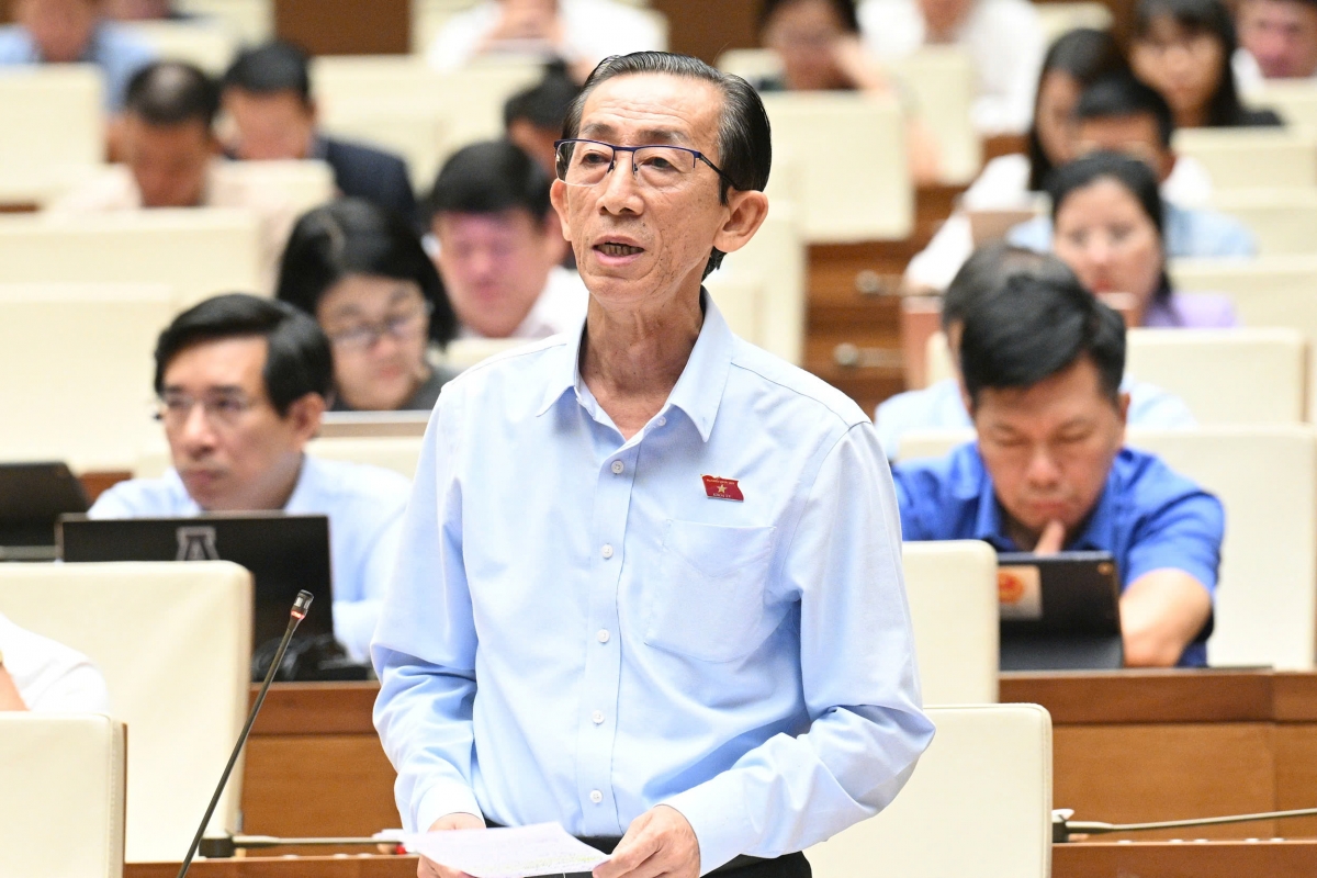 Đại biểu Trần Hoàng Ngân (đoàn TP.HCM) góp ý vào dự thảo luật.