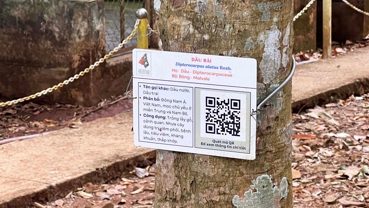 Mã QR được gắn cho các cây di sản 