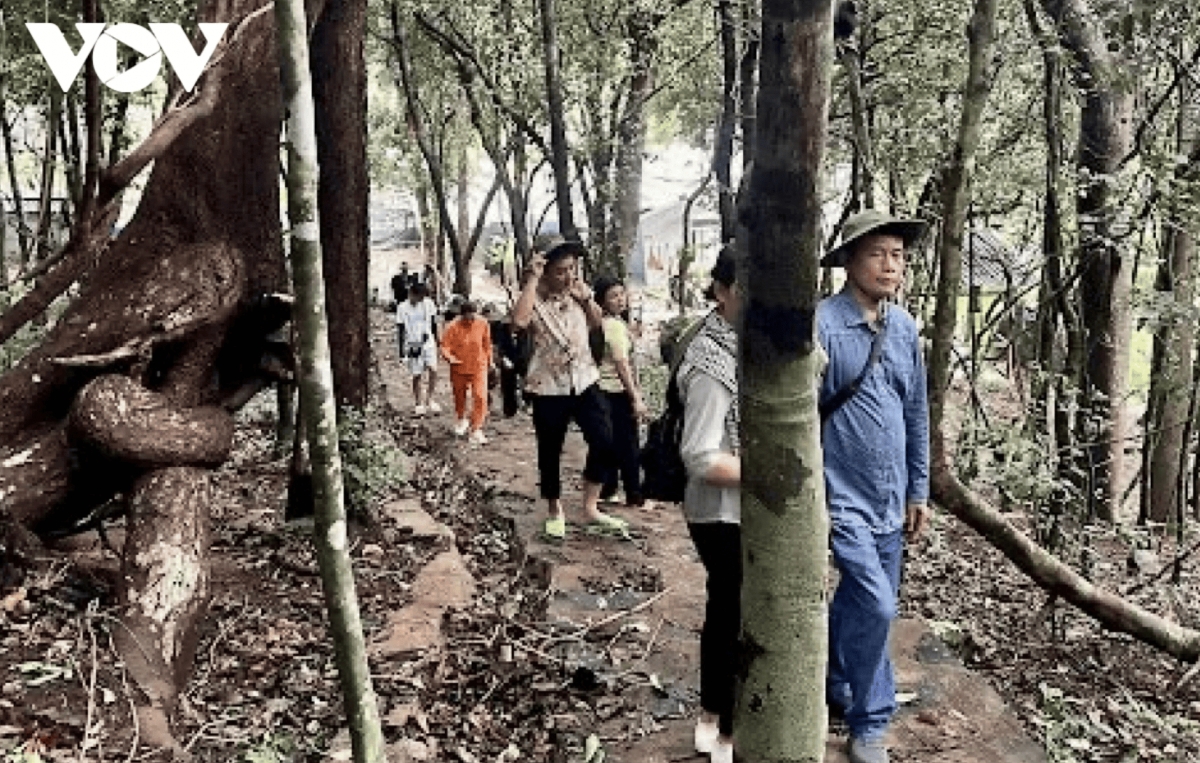   A forest trail leads to the summit of Hon Ba Peak.