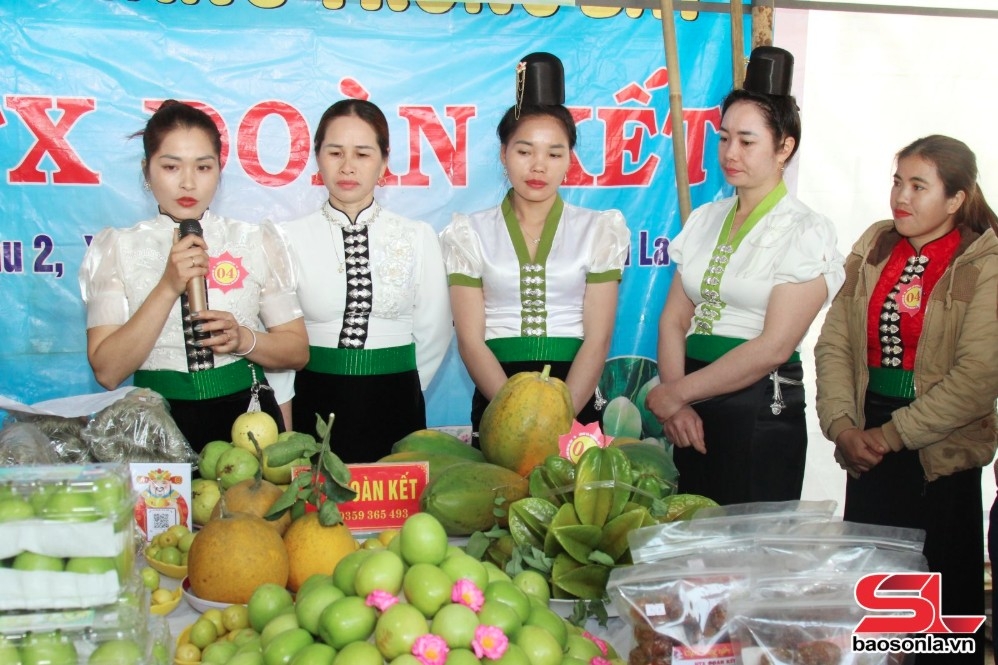 Gian hàng quảng bá, giới thiệu sản phẩm của HTX Đoàn Kết, xã Mường Bú, huyện Mường La.